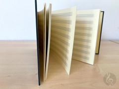Notenschreibbuch handgebunden SO quer 96 Seiten - 8 Systeme im Alle Noten Shop kaufen