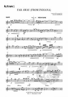 Far Away from Indiana von Klaus Lessmann 