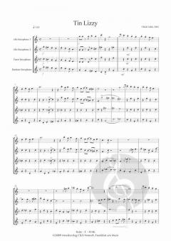 Tin Lizzy von Ulrich Nehls 