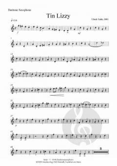 Tin Lizzy von Ulrich Nehls 