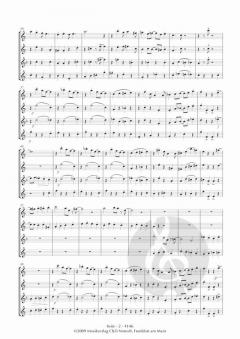 Tin Lizzy von Ulrich Nehls 