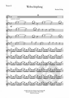 Weltschöpfung von Bastian Fiebig 