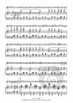 Donauwalzer (als span. Vers.) von Johann Strauss (Sohn) 