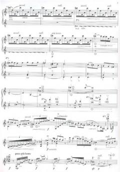 To play or not To play von Carlo Domeniconi 