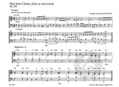 Kleine Choralvorspiele und Begleitsätze 