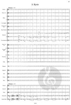 The Armed Man: A Mass for Peace von Karl Jenkins 