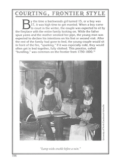 Log Cabin Pioneers von Wayne Erbsen 