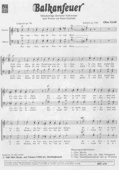 Balkanfeuer von Otto Groll 