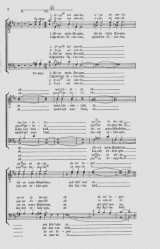 Espagnola von Otto Groll 