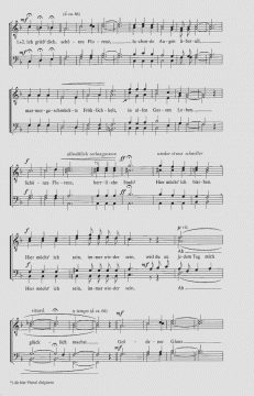 Schönes Florenz (Otto Groll) 