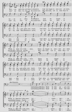 Lächelnd grüsst dein Bild (Peter Brettner) 