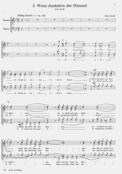 Fiesta Brasiliana von Otto Groll 