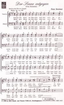 Der Sonne entgegen von Peter Brettner 