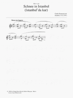Schnee in Istanbul von Carlo Domeniconi 