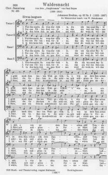 Waldesnacht (Johannes Brahms) 