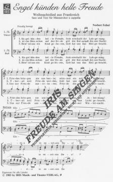 Engel künden helle Freude von Norbert Feibel 