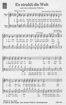 Es strahlt die Welt von Peter Brettner 