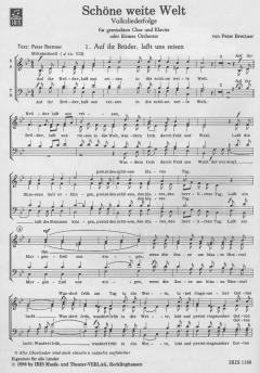 Schöne weite Welt (Peter Brettner) 