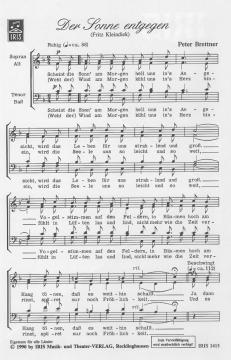 Der Sonne entgegen von Peter Brettner 