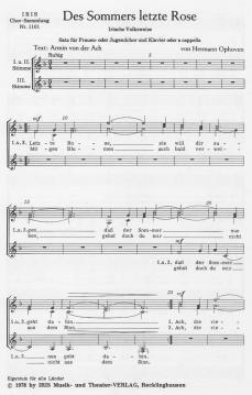 Des Sommers letzte Rose von Hermann Ophoven 