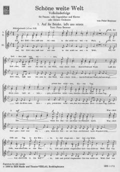 Schöne weite Welt (Peter Brettner) 