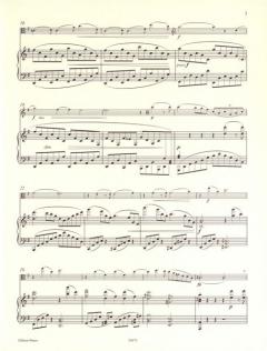 Sonate G-Dur op. 78 von Johannes Brahms 