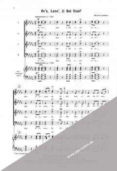 Madrigali - Six 'Fire Songs' On Italian Renaissance Poems 