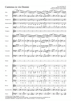 Cantemus in viis Domini (Thomas Gabriel) 