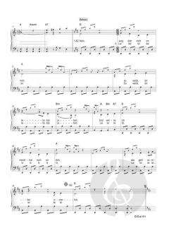 Andrea Berg Songbuch 