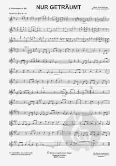Nur geträumt 
