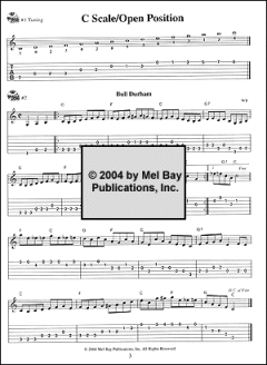 Flatpicking Guitar Workout von William Bay 