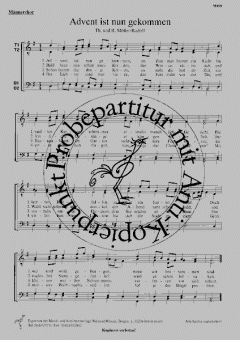 Advent ist nun gekommen (R.+ Th. Möller-Rudolf) 