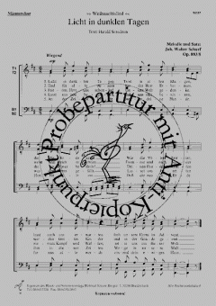 Licht in dunklen Tagen 