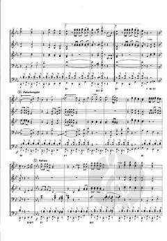 Jetzt geht die Party richtig los 