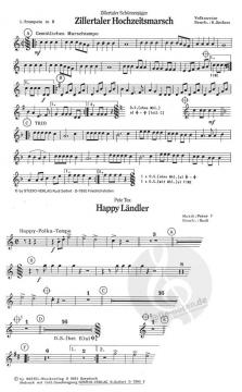 Lustige Musikanten 5 