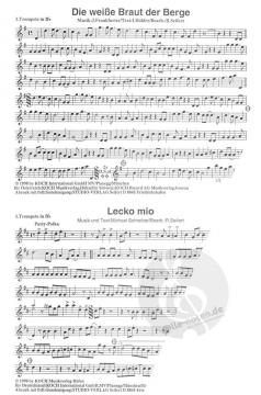 Lustige Musikanten 41 