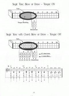 Tremolo And Octave Harmonica Method von Phil Duncan im Alle Noten Shop kaufen