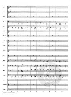 Allegretto aus: Symphonie Nr. 7 A-Dur op. 92 von Ludwig van Beethoven (Download) 