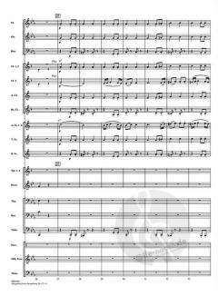 Allegretto aus: Symphonie Nr. 7 A-Dur op. 92 von Ludwig van Beethoven (Download) 