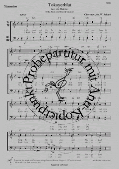 Tokayerblut von Bela Anda 