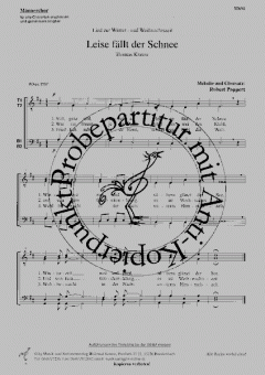 Leise fällt der Schnee (Robert Pappert) 