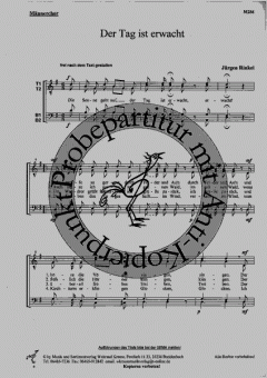 Der Tag ist erwacht (Jürgen Rinkel) 
