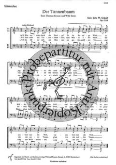 Der Tannenbaum 