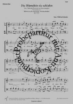 Die Blümelein sie schlafen 