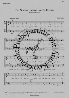 Der Sommer schaut durchs Fenster (Willi Nöther) 