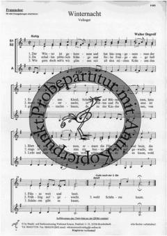 Winternacht (Walter Degreif) 