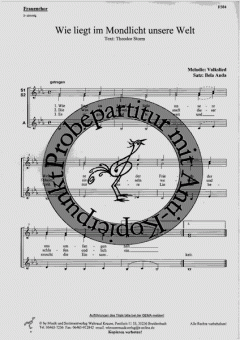 Wie liegt im Mondlicht unsere Welt 