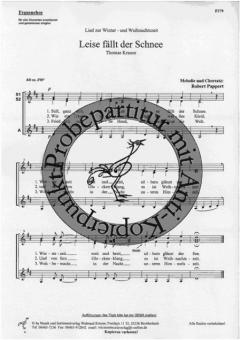 Leise fällt der Schnee (Robert Pappert) 