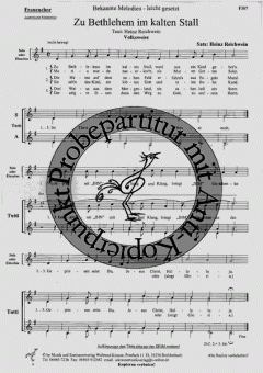 Zu Bethlehem im kalten Stall 