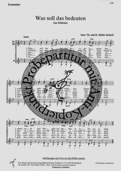 Was soll das bedeuten 